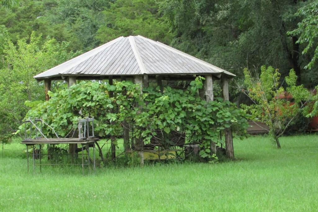 BerryBramble Cottage Talihina Esterno foto